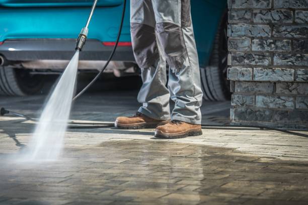 Best Soft Washing  in Williamsburg, KY