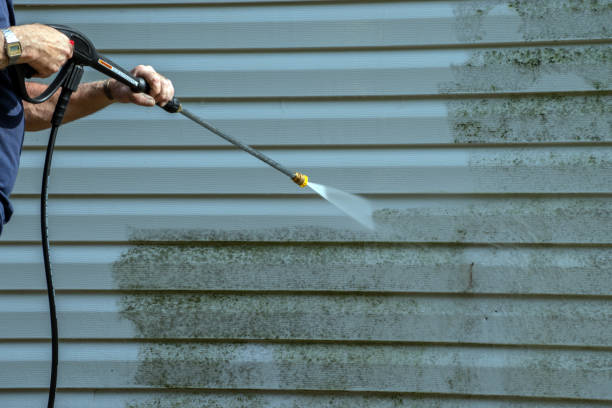 Animal Enclosure Cleaning in Williamsburg, KY