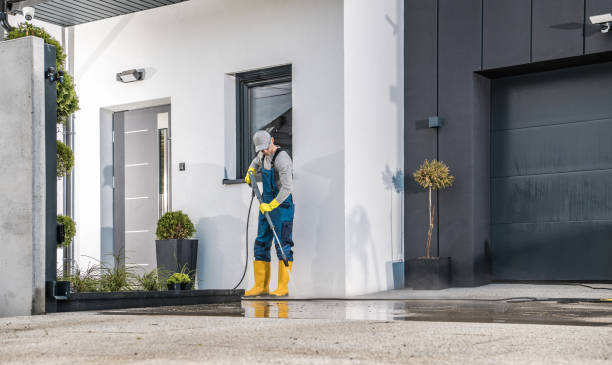 Best Concrete Sealing  in Williamsburg, KY